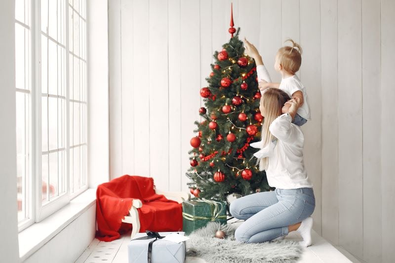 Spreading Cheer this Season: Creative and Affordable Ideas to Get Your Home Feeling Festive