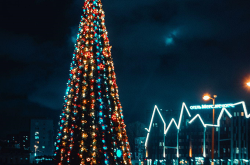 Elevate Your Holiday with a 9ft Christmas Tree